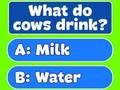 Hra Trivia Najlepší rodinný kvíz  online