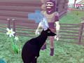 Hra Simulátor jeleňa 3D  online