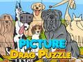 Hra Obrázok Drag Puzzle  online