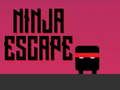 Hra Ninja útek  online