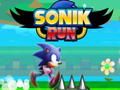 Hra Sonik Run online