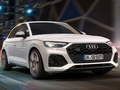 Hra Sklíčka Audi SQ5 TDI online