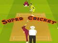 Hra Super kriket online Hra Super kriket online