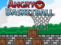 Hra Nahnevaný basketbal  online
