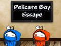 Hra Delikátny Boy Escape  online