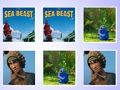 Hra Zhoda pamäťovej karty Sea Beast online