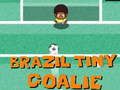 Hra Malý brankár Brazílie online Hra Malý brankár Brazílie online