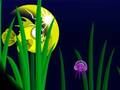 Hra Flash Fish Freddie online