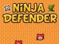 Hra Ninja obranca  online
