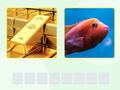 Hra Picword online