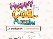 Hra Zábavné puzzle s mačkou  online
