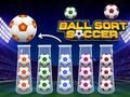 Hra Futbal na triedenie lopty  online