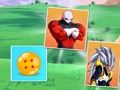 Hra Zápasové karty DragonBall  online