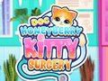 Hra Doc HoneyBerry Kitty chirurgia  online