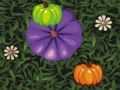 Hra Farba Pumpkin Match  online