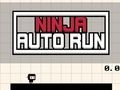Hra Ninja Auto Run online