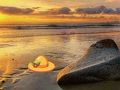 Hra Útek z pláže Sunset Beach  online