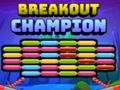 Hra Breakout šampión  online