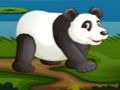 Hra Futbalová Panda  online