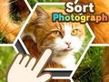 Hra Zoradiť fotografiu  online