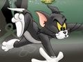 Hra Tom a Jerry Chase v Marsh  online