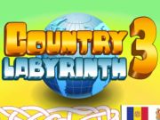 Hra Vidiecky labyrint 3  online