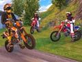 Hra Motokrosový simulátor jazdy  online