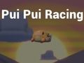 Hra Preteky Pui Pui  online