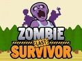 Hra Zombie Last Survivor online