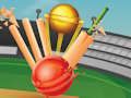 Hra Kriket T20  online