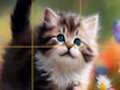 Hra Puzzle posuvné mačiatka  online