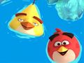 Hra Omaľovánka: Angry Birds  online