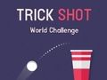 Hra Trik Shot World Challenge online