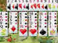 Hra Divoký kvetinový solitaire  online