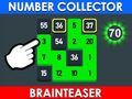 Hra Zberateľ čísel: Brainteaser  online