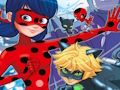 Hra Ladybug Nájdite rozdiely  online
