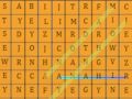 Hra Vyhľadávanie slov html5  online