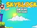 Hra Skyblock prežiť s Noobom!  online