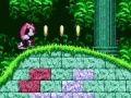Hra Mighty & Ray v Sonic 2 online Hra Mighty & Ray v Sonic 2 online