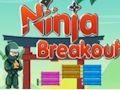 Hra Breakout ninja online