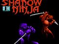 Hra Tieň ninja online