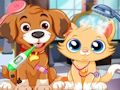 Hra Veterinárna starostlivosť o šteňatá  online