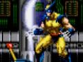 Hra Wolverine - Adamantium Rage online Hra Wolverine - Adamantium Rage online