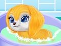 Hra Životný denník Baby Taylor  online