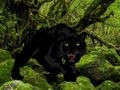 Hra Útek z lesa Black Panther  online