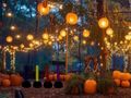 Hra Halloween krásny záhradný útek  online