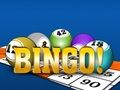 Hra Bingooo 2024 online