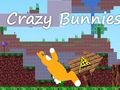 Hra Bláznivé zajačiky online