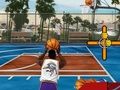 Hra Basketbalová ulica  online