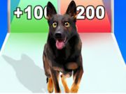 Hra Beh evolúcie psa  online